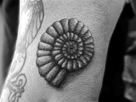 ammonite fossil tattoo.